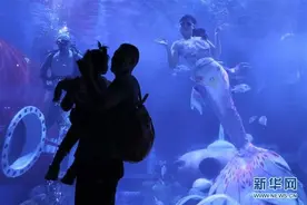 哈尔滨极地馆花样迎中秋图片