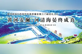 黄河安澜：河清海晏终成真图片