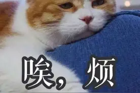 注意！去杭州这家医院看病，车子可以停去这里，免费图片