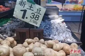 土豆7毛钱能买一斤，要囤点吗？图片