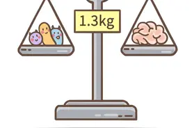 人和细菌的关系，像极了爱情图片