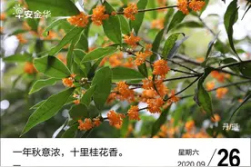 早安金华丨义乌—宁波舟山港海铁国际联运“达飞号”专列首发！中秋、国庆期间长三角地区增开多趟列车……图片