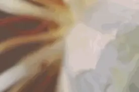 惊艳！7小时延时拍下昙花开花全程视频封面