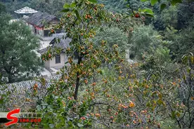 游山西·读历史｜吕梁山上一朵“云”，丘上最美的“云”……图片