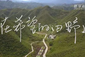 在希望的田野上视频封面