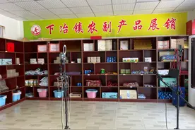 “龙的传人·相约黄河”两岸媒体大美黄河行：黄河畔的“致富经”图片