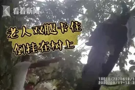 老人摘板栗倒挂树上 民警以身相“顶”助其脱险图片