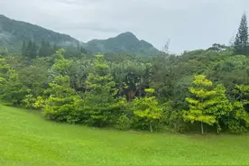 去万宁，吃吃吃吃吃图片