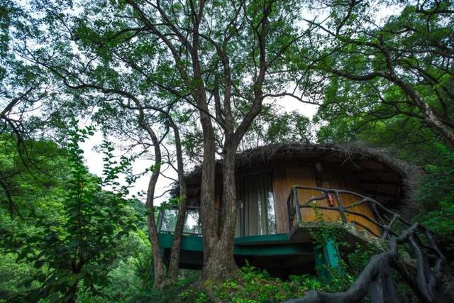 衢州有座浙西“小香格里拉”，它的名字叫常山