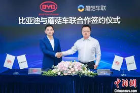 比亚迪DiLink与蘑菇车联签署协议展开智慧交通合作图片