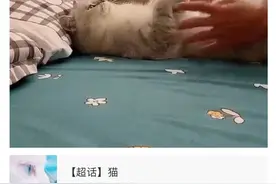 所以爱会消失对不对？图片