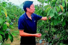 金龙泉前董事长李大红在海南病危，荆门市多部门协助家属全力救治图片