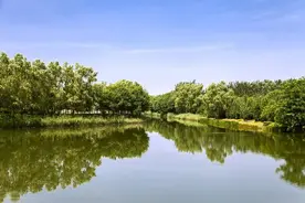 夜话丨阳光正好，秋风不燥，出去走走吧图片