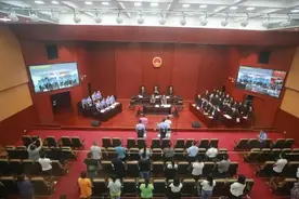 敛财数十亿，致6人死伤！广西54人涉黑案判了，首犯无期图片