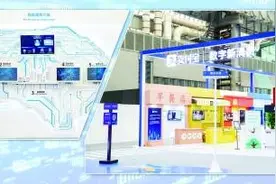 申城网友“种树”三项指标全国第一图片
