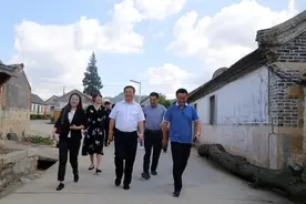 烟台市牟平区领导调研龙泉镇乡村文化旅游建设工作图片