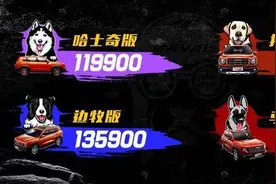 售价11.99-14.29万元 潮玩新旅伴 哈弗大狗正式上市图片