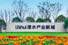 世界500强、宝马核心供应商佛吉亚签约溧水产业新城图片