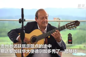 贫困县造吉他闯出一条“致富路”引拉美大使当场“献艺”图片