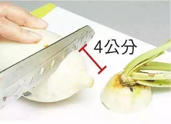刚买回来的鱼鱼鳞掉了