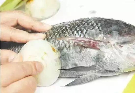 刚买回来的鱼鱼鳞掉了