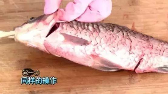 刚买回来的鱼鱼鳞掉了
