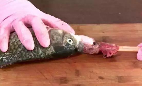 刚买回来的鱼鱼鳞掉了