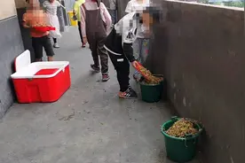 阜阳一小学学生将营养餐倒掉“溢出垃圾桶”，校方：众口难调图片