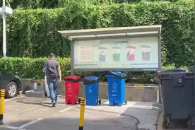 深圳开展垃圾分类整改突击检查，执法队“回头查”：明显改善