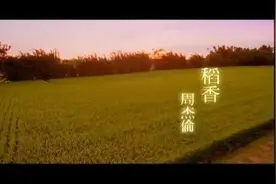 百科 | 稻田真的有香气吗？走进《稻香》中的科学世界图片
