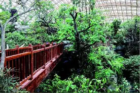 太原植物园10月1日试运营图片