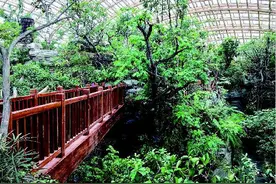 太原植物园10月1日试运营图片