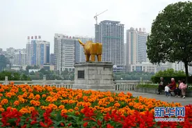 陕西安康：“国庆妆”点亮城市图片