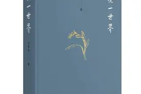 「天雨流芳」朱良志《一花一世界》图片