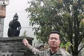 百城千县万村调研行 | 重庆庙坝村：全球十分之一的黑叶猴都在我们村！视频封面