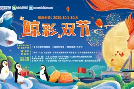 这个十一，长沙海底世界让您“鲸”喜加倍图片