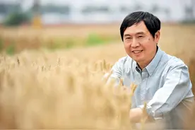 瞭望 | 遭遇近十年最严重的“小麦癌症”，夏粮为何还能丰收？——专访中国工程院院士、旱区作物逆境生物学国家重点实验室主任康振生图片