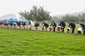 朱鹮种群持续扩大为野生动物保护提供“中国方案”图片