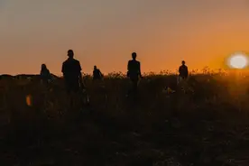 做个白日梦吧，有夕阳，有树影，有少年少女，有Bally图片