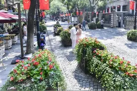 国庆来武汉偶遇一朵幸福小花吧！千万盆草花夹道欢迎，百余处街景缀花醉你心……图片