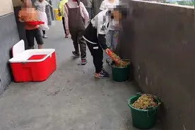 小学生倒营养餐“溢出垃圾桶”：难吃也是种浪费图片