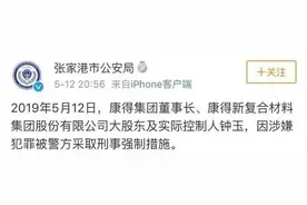 处罚落地！康得新四年虚增利润超115亿元，因重大违法或被强制退市，监管布下“天罗地网”，全方位立体追责图片