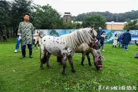 武汉建华中最大野生动物园，年底前有望去这里看动物图片