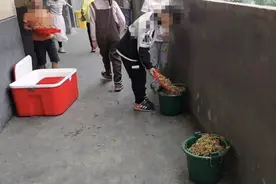 小学生倒营养餐“溢出垃圾桶”：难吃也是种浪费 | 早茶时间图片