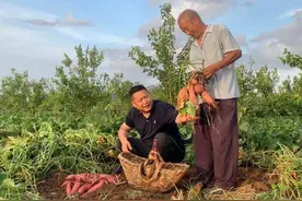回里镇迟家村：合作社里夕阳红 致富路上不掉队图片