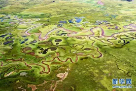 鸟瞰拉妥湿地图片