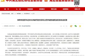 钟祥市委原书记林长洲被双开并移送司法机关图片