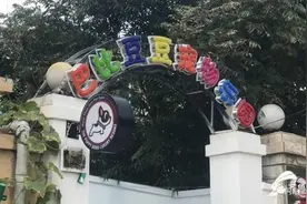 每天158元的寄养费，宠物却在第一天被车撞死图片