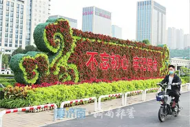 济南：50万盆鲜花装点鲜花盛宴图片