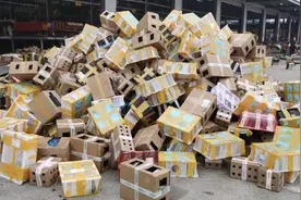 志愿者从快递盒中救出1069只小动物：网购活体动物，多家快递公司默许邮寄，但不“保活”图片